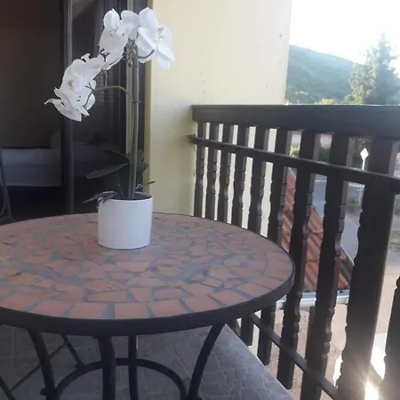 Vendeghaz Holiday home